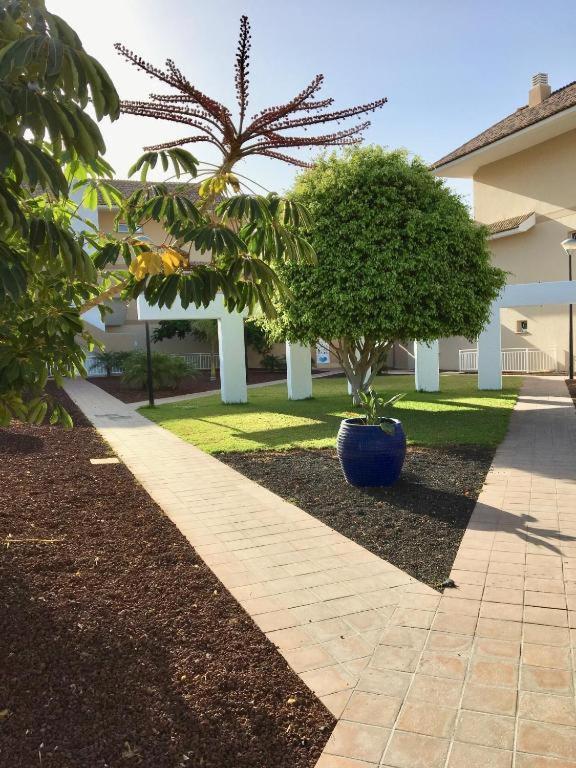 Deluxe Apt. 110Qm+Terrasse 60Qm Pool Wifi Golf Yachthafen San Miguel de Abona Exteriör bild